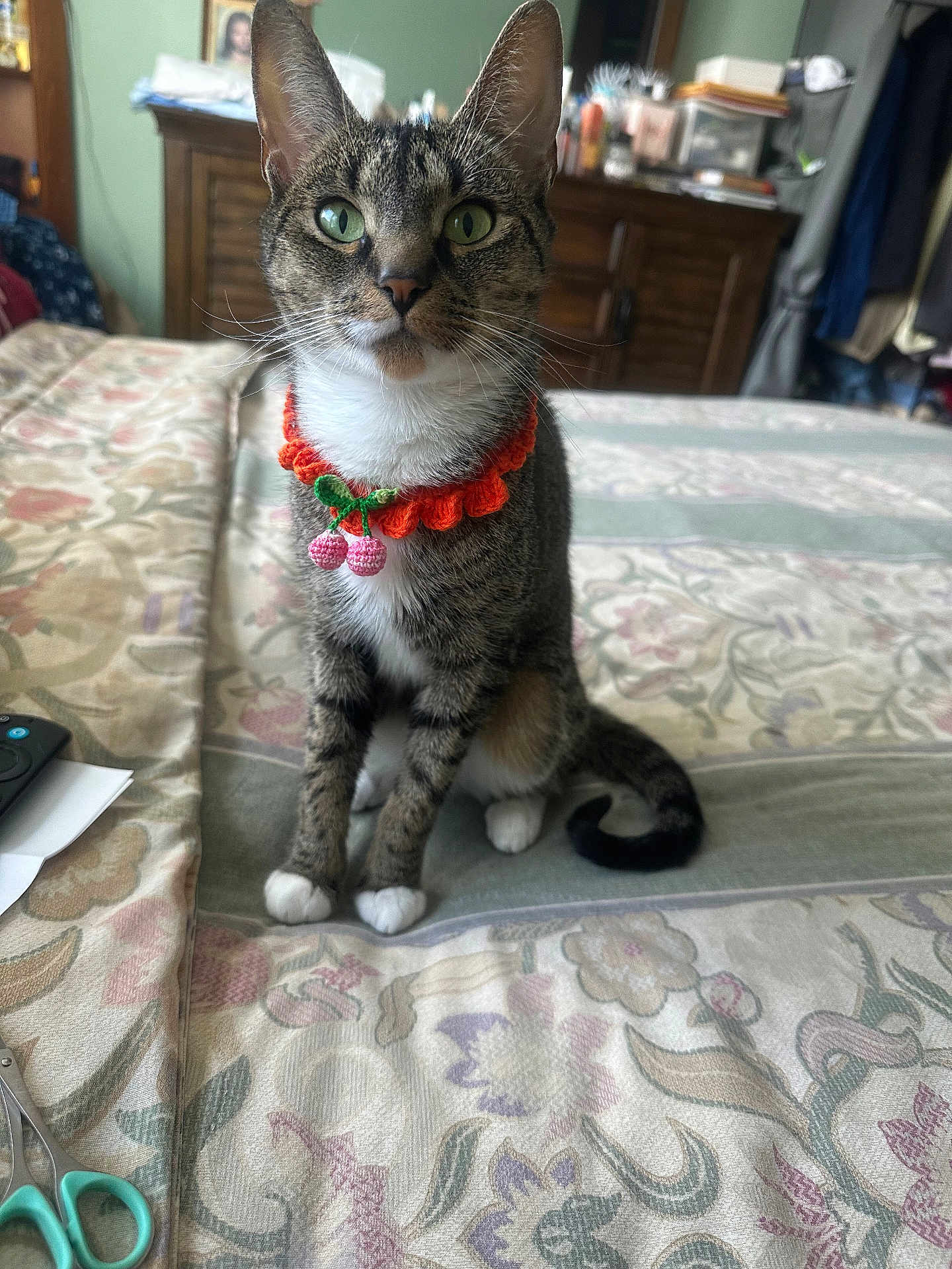 Mia joined the competition — help win amazing prizes! cat, tabby_cat, pet, bed, blanket, floral_bedspread, crochet_collar, cherries, green_eyes, whiskers, paws, sitting, indoor, dresser, furniture, remote_control, scissors, tail, portrait, cute