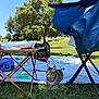 cat, kitten, tabby, grass, picnic, blanket, folding_table, camping_chair, backpack, food, outdoor, park, tree, blue_sky, sunny, leisure, pet, nature, resting, curious