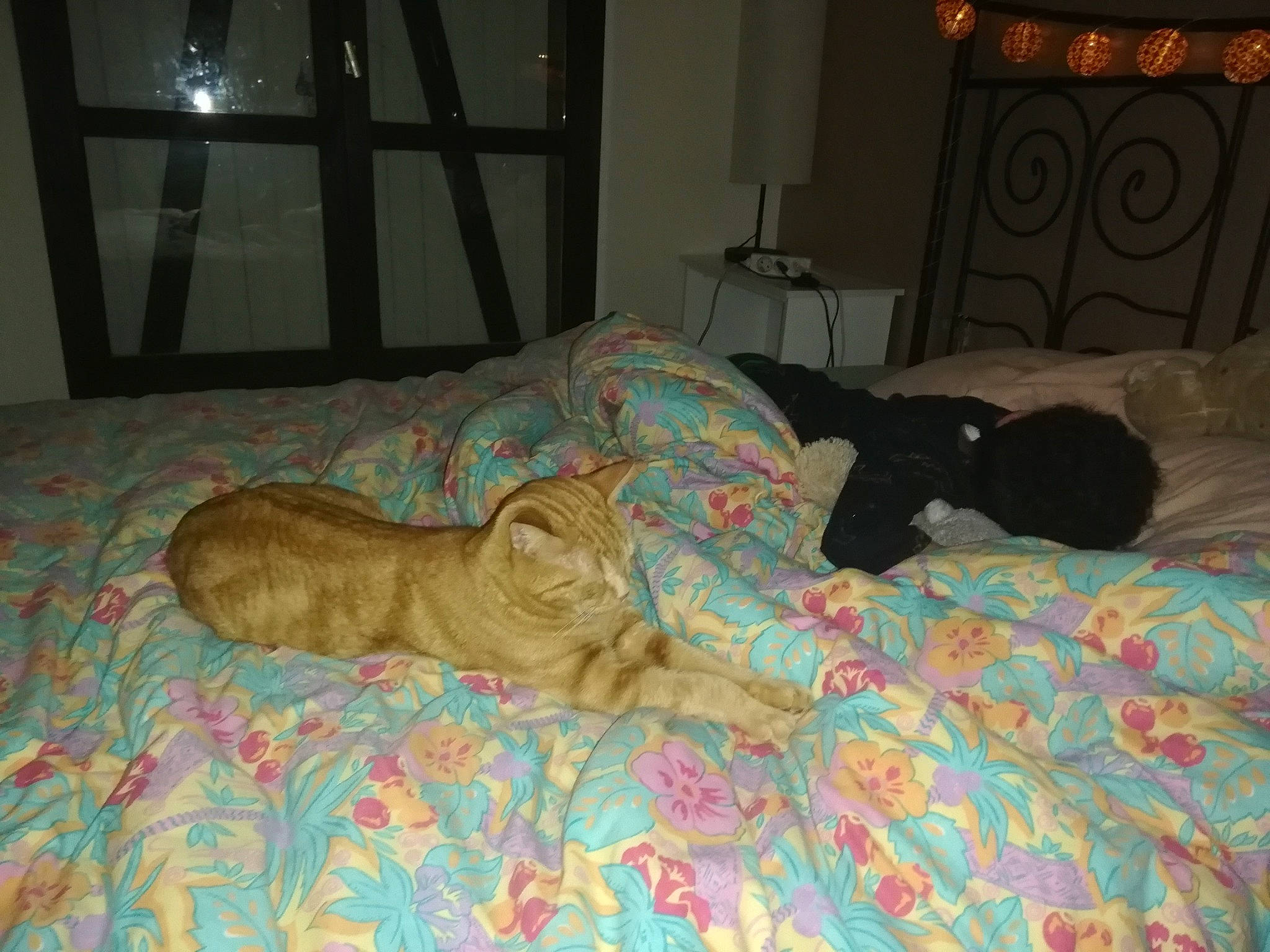 Tigrou a rejoint le concours — aidez-le/la à gagner de superbes lots ! bed, bed_sheet, bedding, bedroom, brown, carnivore, cat, comfort, fawn, felidae, floor, flooring, hardwood, lamp, linens, room, small_to_medium_sized_cats, tail, textile, wood