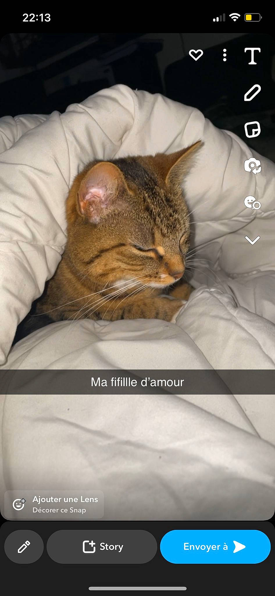 Bébéchat participe au concours pour gagner de l'argent avec cette photo : carnivore, cat, comfort, domestic_short_haired_cat, ear, felidae, font, fur, linens, nap, photo_caption, small_to_medium_sized_cats, snout, terrestrial_animal, whiskers, wildlife, wrinkle