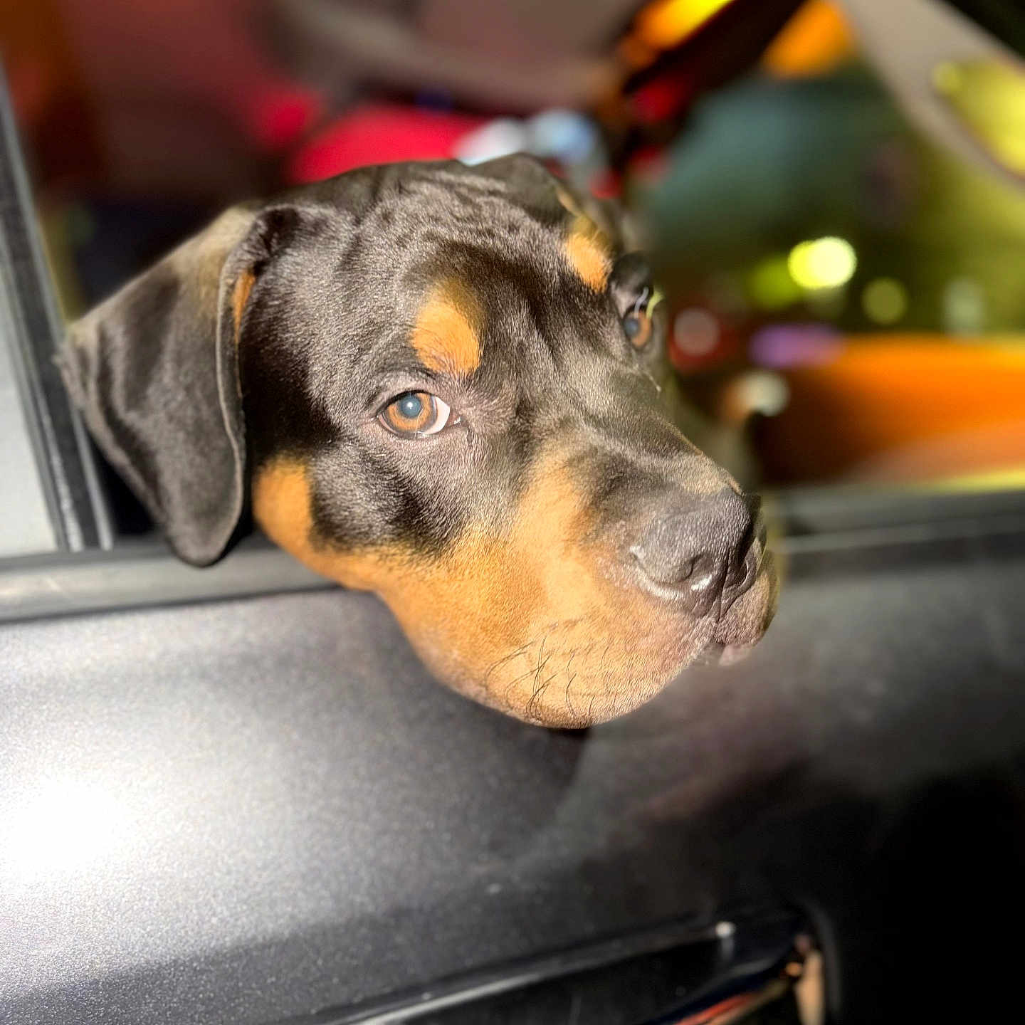 Rocky