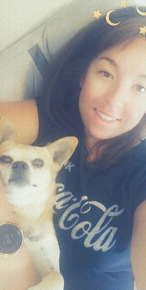 Peanuts a rejoint le concours — aidez-le/la à gagner de superbes lots ! canidae, carnivore, chihuahua, companion_dog, cool, dog, dog_breed, ear, eye, eyebrow, face, head, nose, photography, puppy, puppy_love, selfie, skin, smile, toy_dog