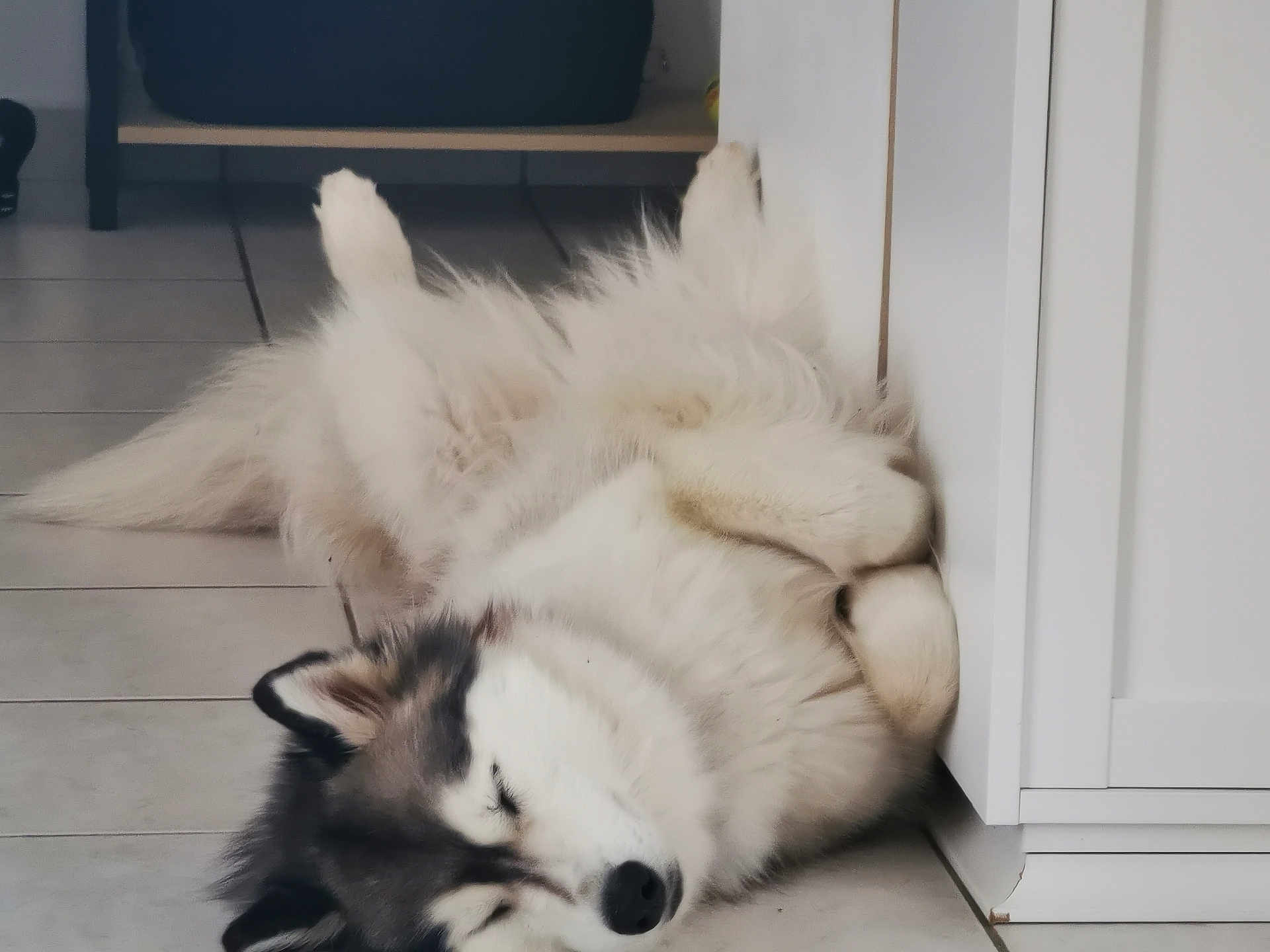 Taïka