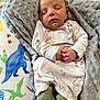 baby, newborn, sleeping, blanket, dinosaur, pattern, socks, clothing, infant, cute, resting, hands, cozy, soft, pillow, child, portrait, indoors, fabric, peaceful