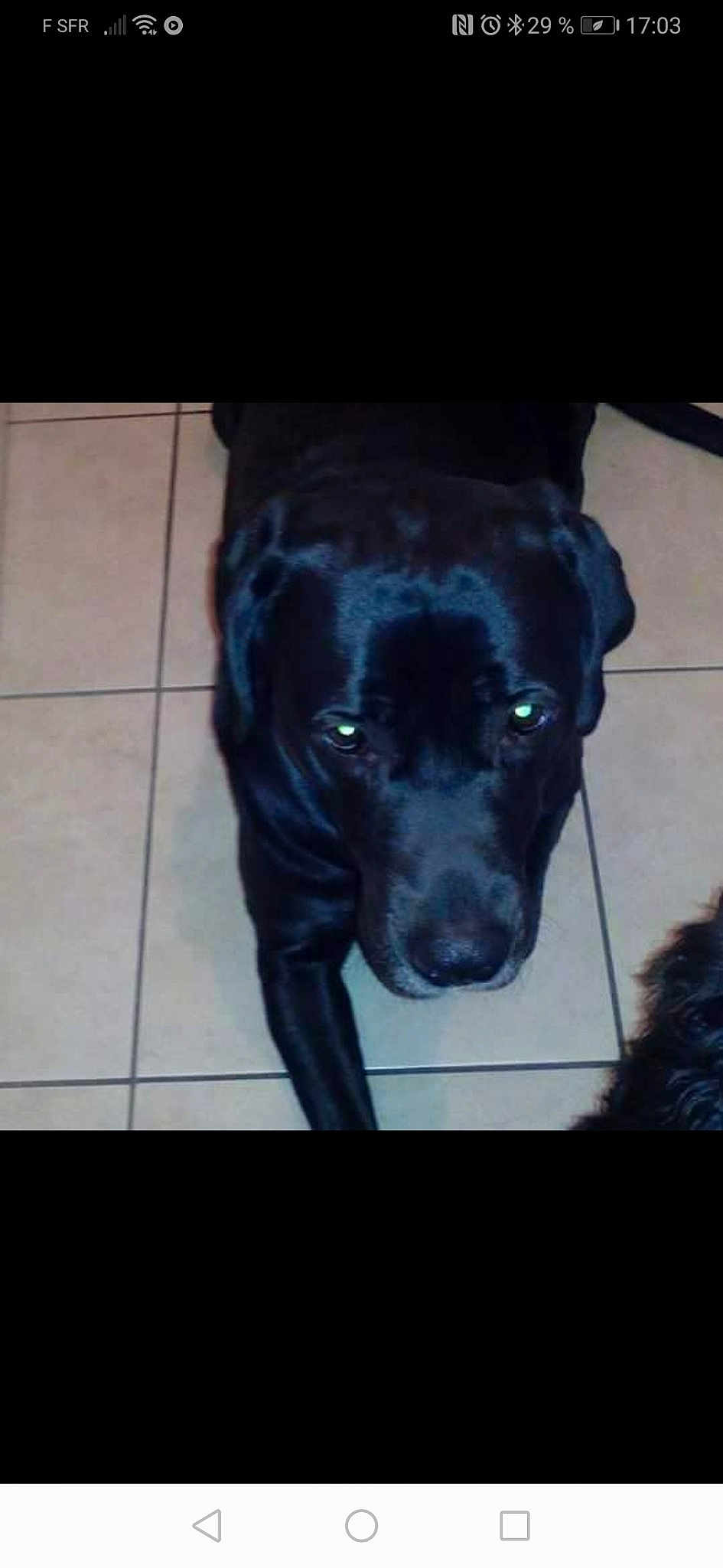 Blacky