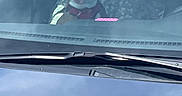 Cash joined the competition — help win amazing prizes! animal, car, collar, daytime, dog, front_seat, happy, inside, interior, leash, parked_car, pet, reflection, seat_cover, smiling_dog, tongue_out, transportation, vehicle, window, windshield