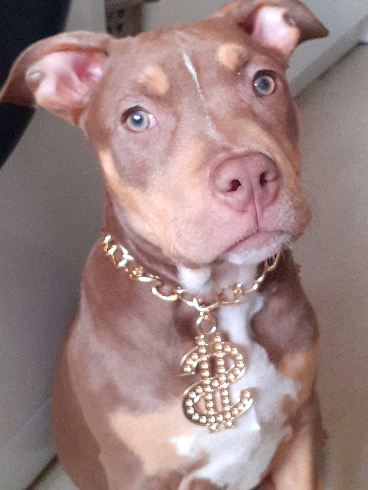 Ruby