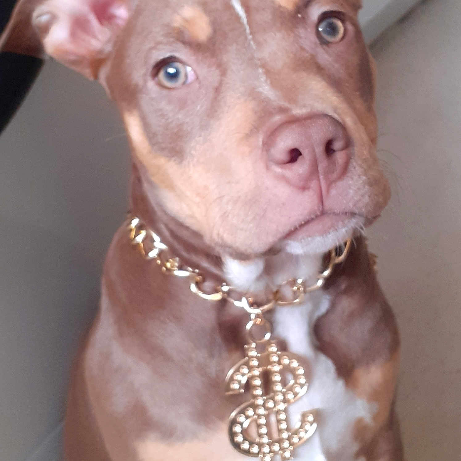 Ruby