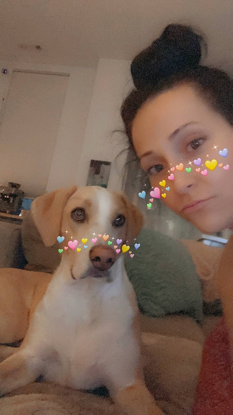 Benny is registered to the contest to win money with this photo: black_hair, carnivore, cheek, companion_dog, dog, dog_breed, ear, eye, eyebrow, eyelash, eyewear, fawn, forehead, hair, happy, head, iris, neck, nose, skin