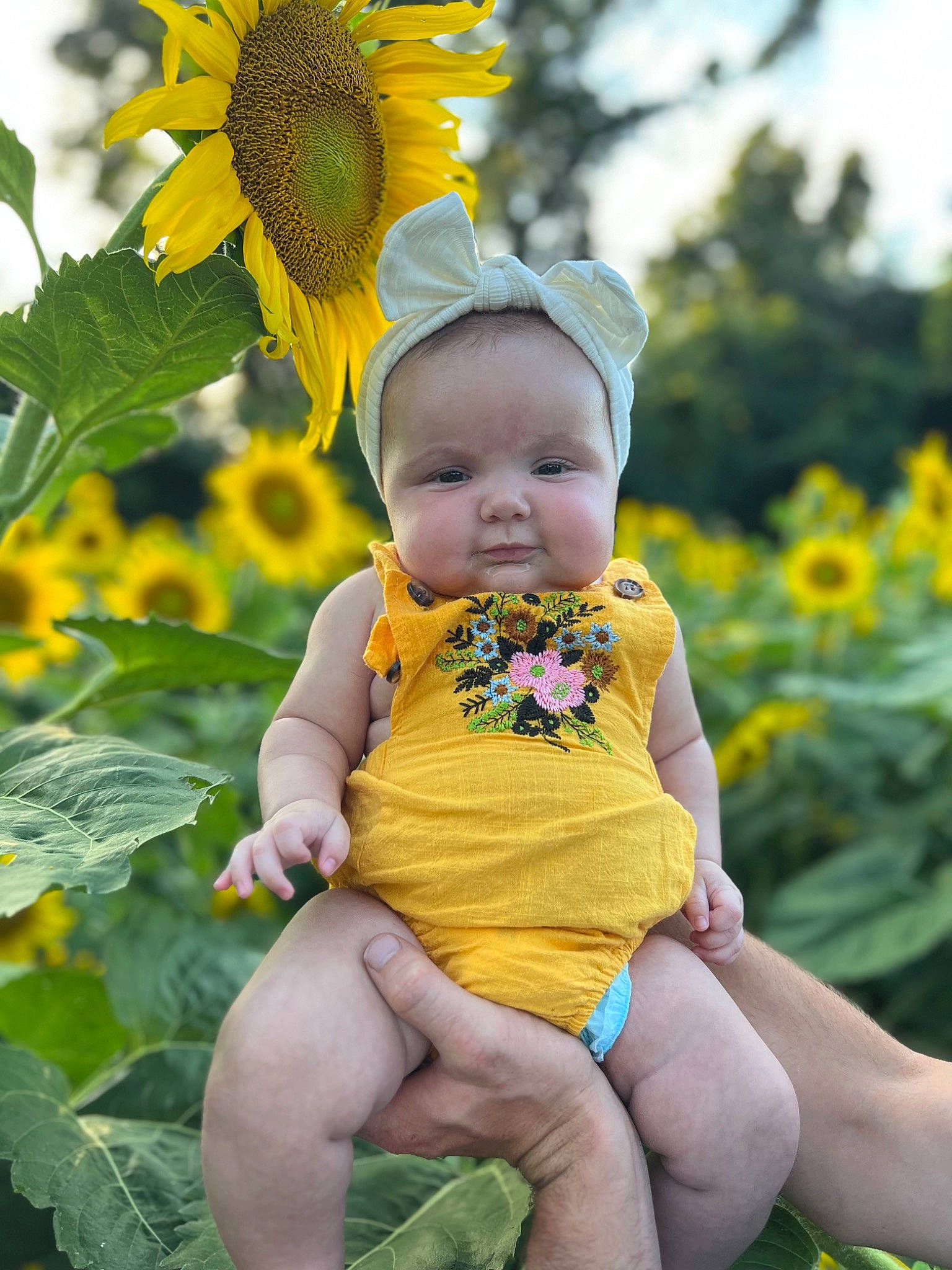 Elaine joined the competition — help win amazing prizes! baby, baby_toddler_clothing, botany, eye, flower, fun, grass, green, happy, leaf, leisure, nature, people_in_nature, person, petal, photograph, plant, summer, toddler, tree