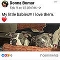 Donna B.