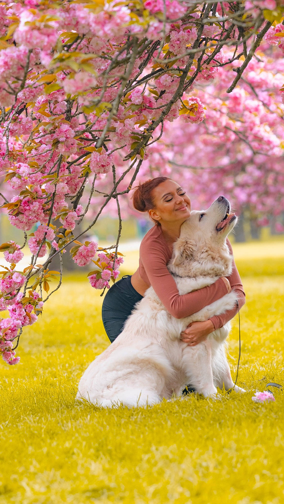 Prency a rejoint le concours — aidez-le/la à gagner de superbes lots ! beauty, blossom, botany, bridal_clothing, bride, companion_dog, dress, flash_photography, flower, grass, happy, leisure, meadow, people_in_nature, petal, pink, plant, tree, wedding_dress, yellow