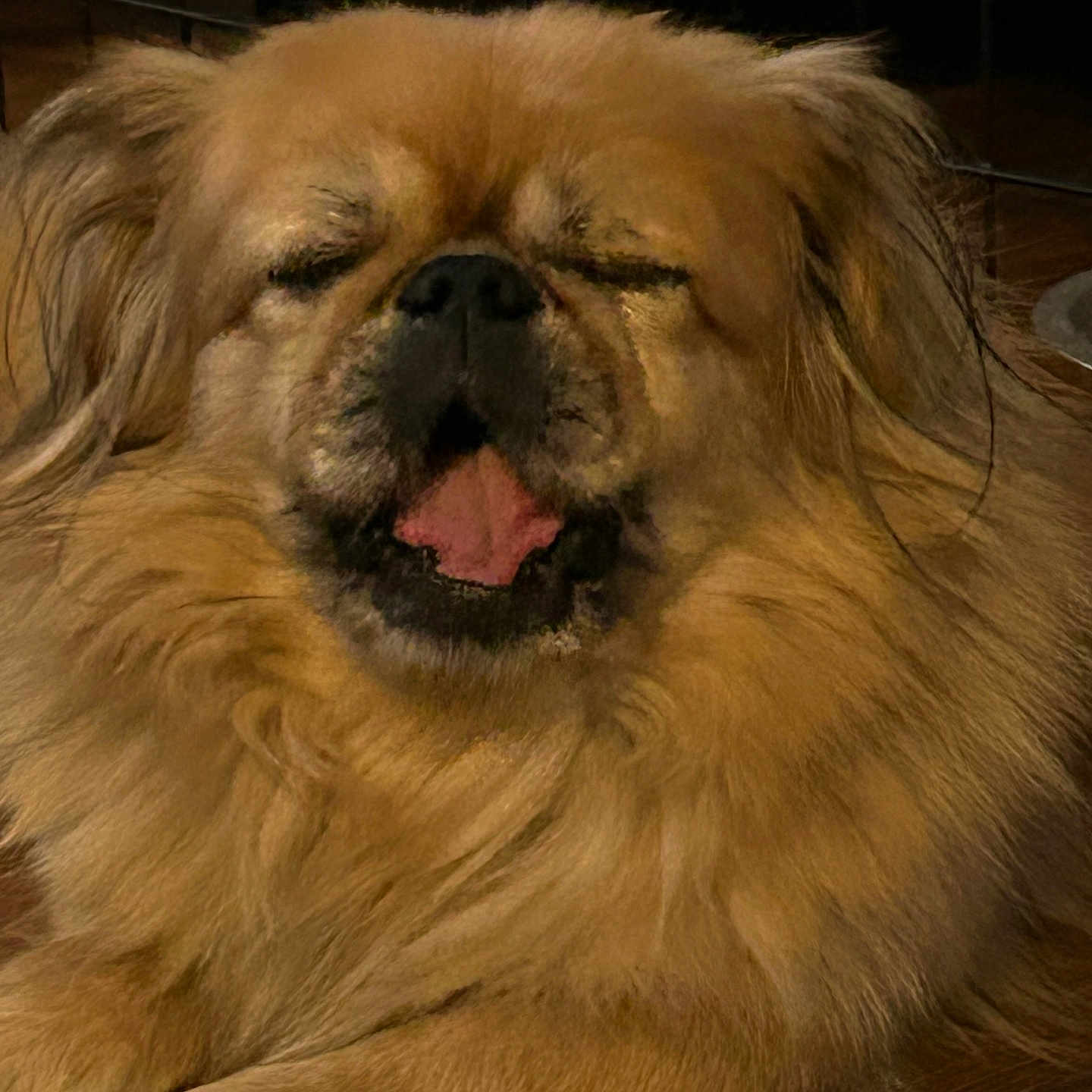 Max