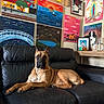 dog, leather_couch, painting, art, wall, indoor, pet, relaxed, furniture, portrait, colorful, canine, living_room, decor, animal, sofa, resting, expression, home, artwork