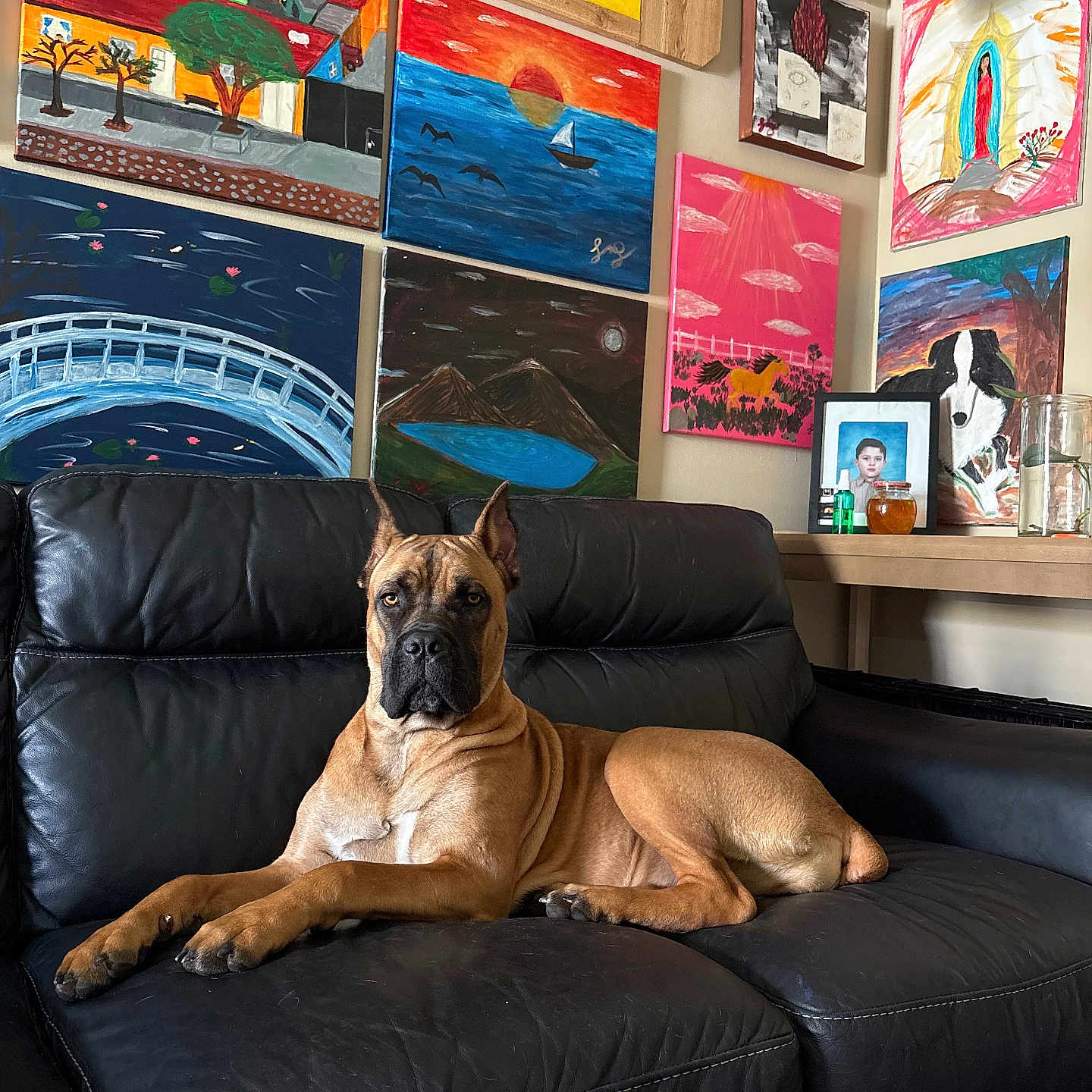 Astartea joined the competition — help win amazing prizes! dog, leather_couch, painting, art, wall, indoor, pet, relaxed, furniture, portrait, colorful, canine, living_room, decor, animal, sofa, resting, expression, home, artwork