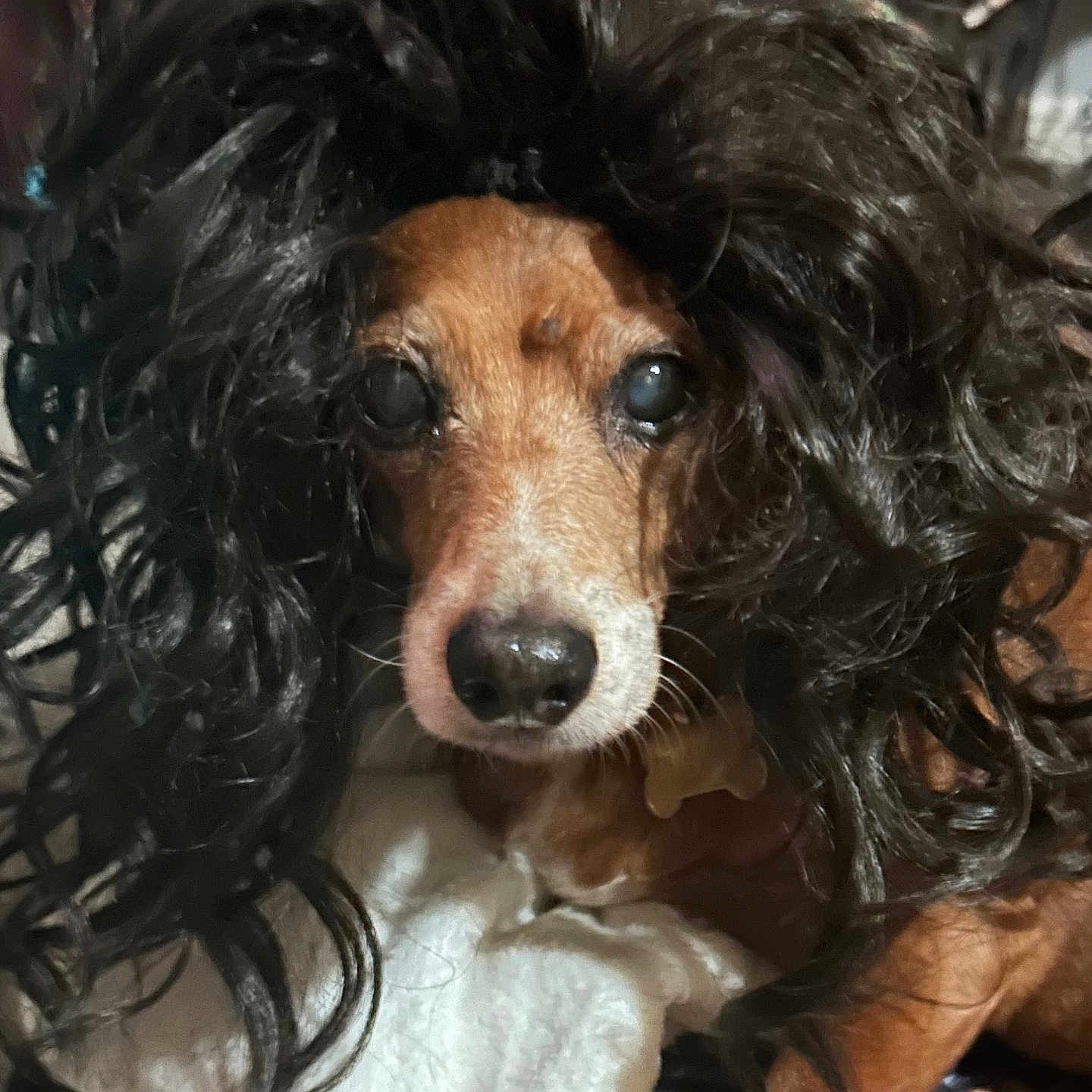 Tina