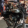 Dax joined the competition — help win amazing prizes! animal, biker, bulldog, chrome, dog, engine, garage, handlebars, headlight, indoor, leather, motorbike, motorcycle, pet, shelves, sitting, standing, tools, vehicle, workshop