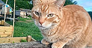 Taz is registered to the contest to win money with this photo: