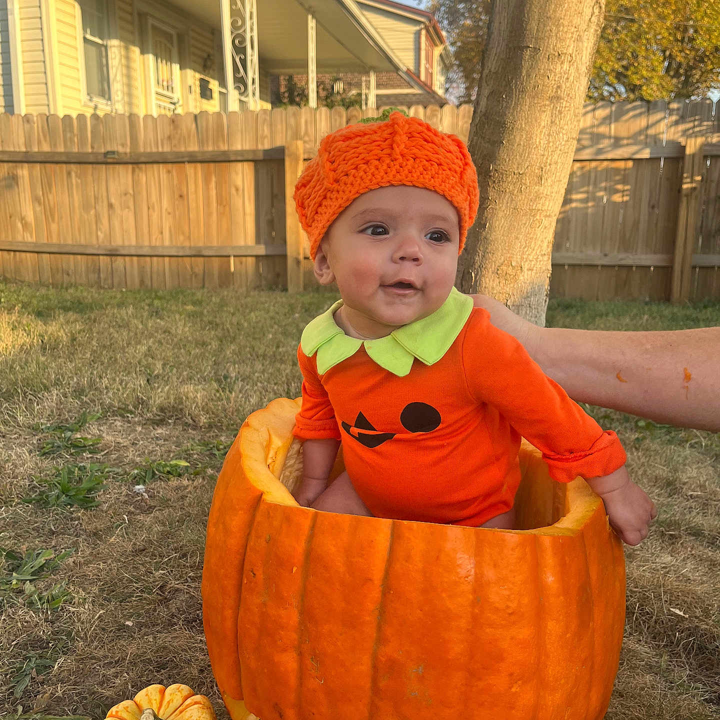 Elianna joined the competition — help win amazing prizes! baby, backyard, cap, clothing, face, food, hat, head, nature, outdoors, person, photography, plant, portrait, pottedplant, produce, pumpkin, soil, squash, vegetable