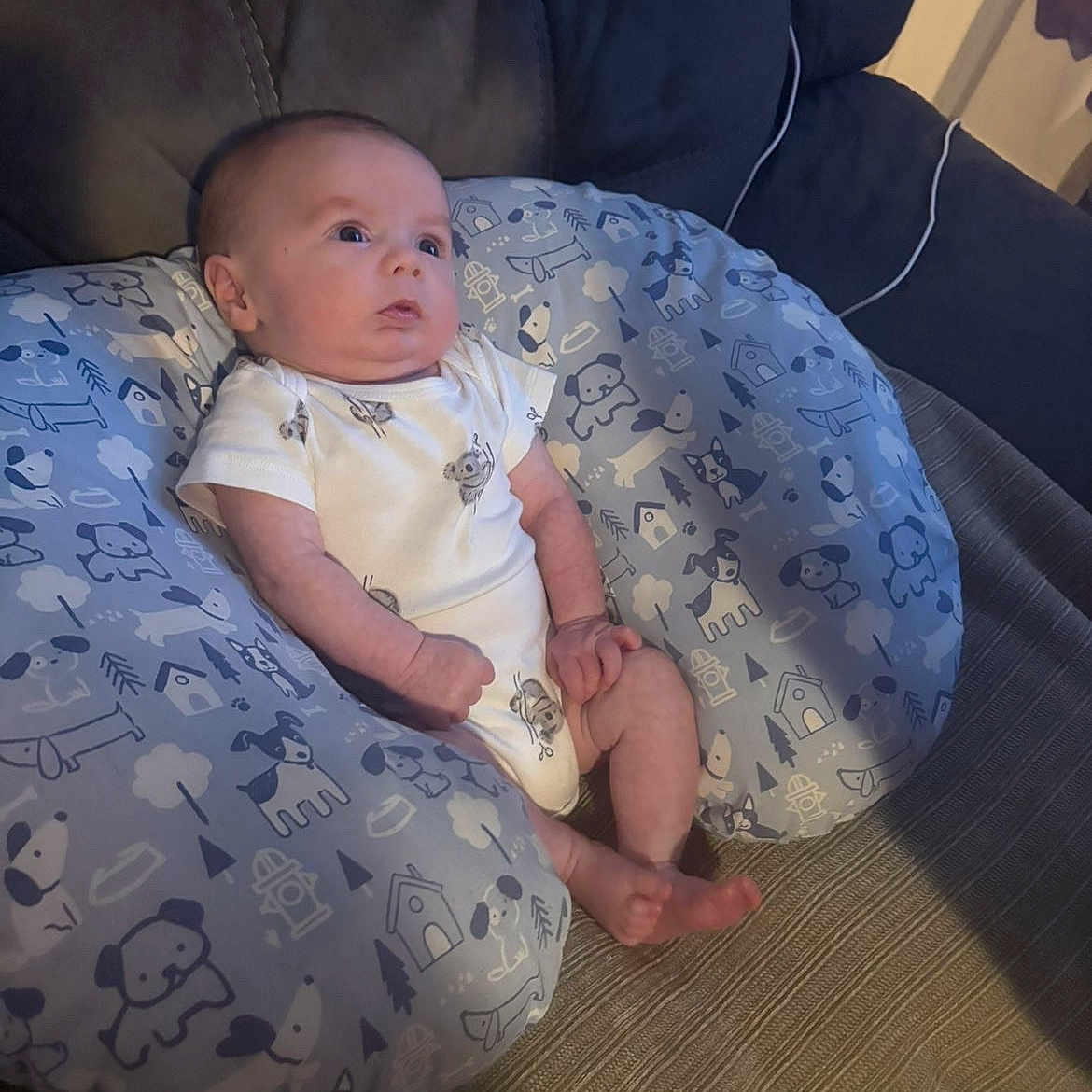 Haze is registered to the contest to win money with this photo: baby, infant, child, portrait, sitting, awake, wide_eyed, curious, onesie, cushion, nursing_pillow, sofa, adult, face, indoor, home, cozy, patterned_fabric, feet, photography