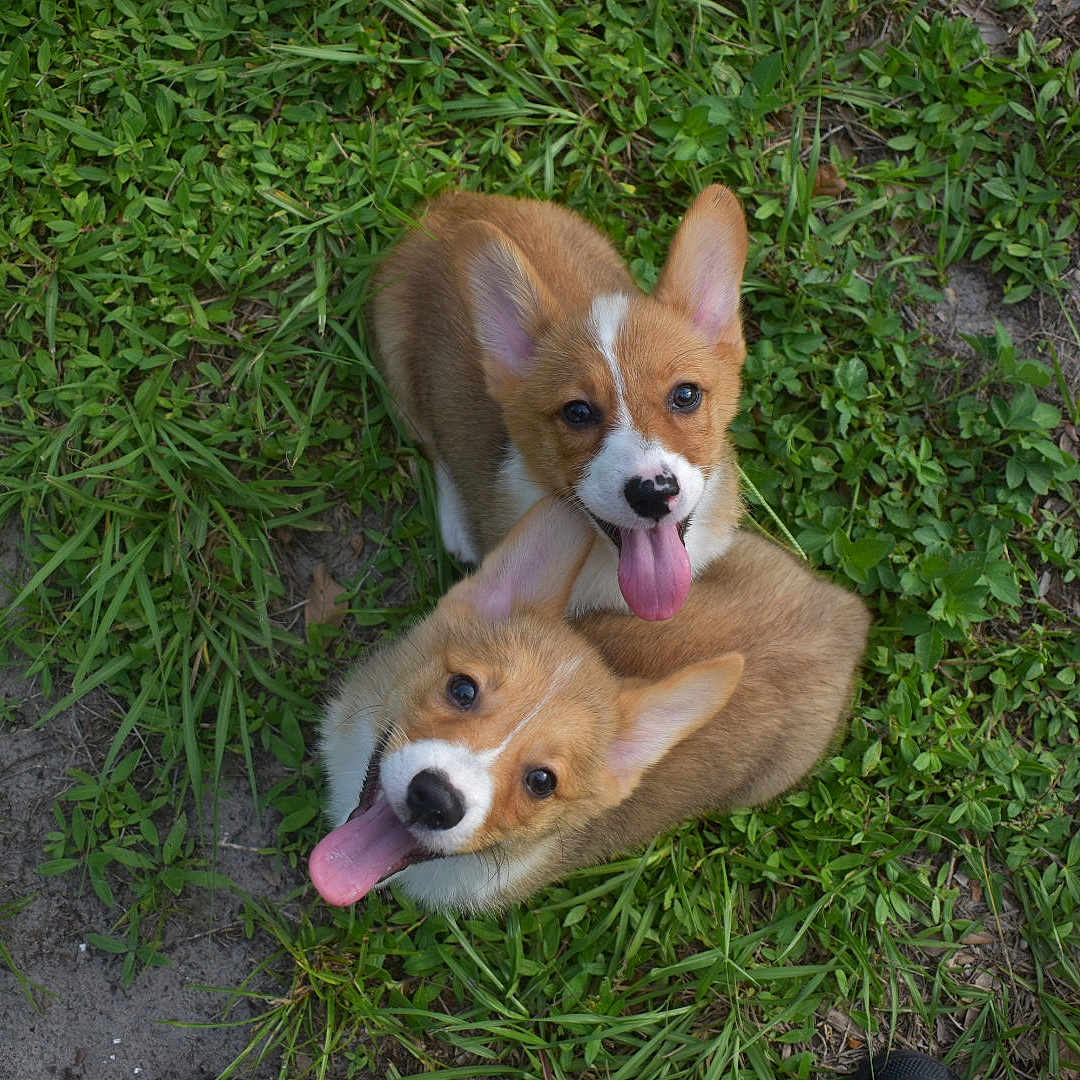 Mr Bud And Mr Miller