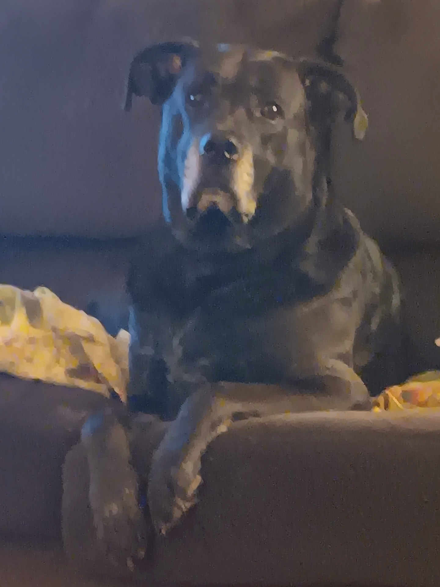 Diesel
