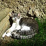 Cannelle participe au concours pour gagner de l'argent avec cette photo :