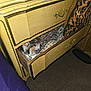 Spicy is registered to the contest to win money with this photo: carpet, cat, cozy, drawer, dresser, ears, feline, flash_lighting, furniture, hiding, indoor, leopard_print, nightstand, ornate_handle, patterned_fabric, peeking, pet, quilt, vintage, whiskers