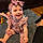 Riley
