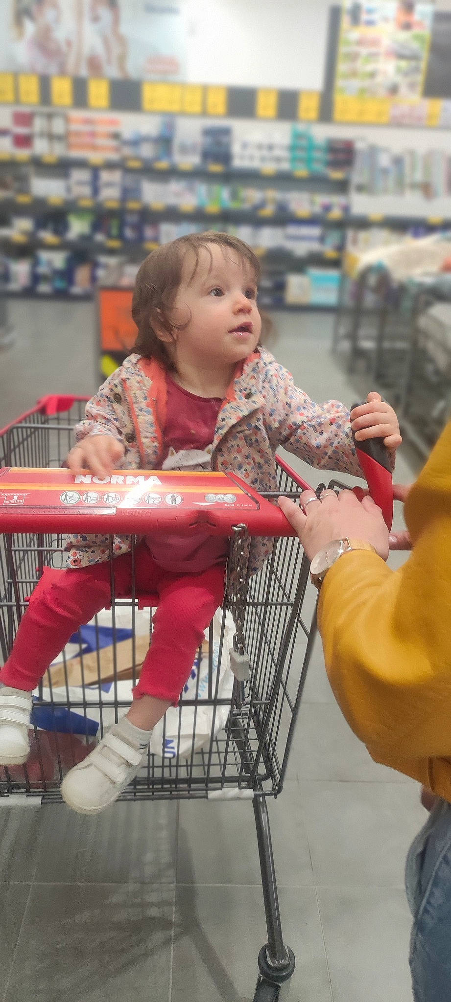 Éloïse participe au concours pour gagner de l'argent avec cette photo : baby, cart, child, customer, event, fun, grocery_store, happy, leisure, person, photograph, product, retail, shelf, shopping, shopping_cart, sitting, skin, smile, snapshot