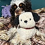 dog, plush_toy, bed, blanket, curly_fur, stuffed_animal, indoor, pet, brown, white, black, fur, cute, toy, relaxing, cozy, animal, companion, resting, soft