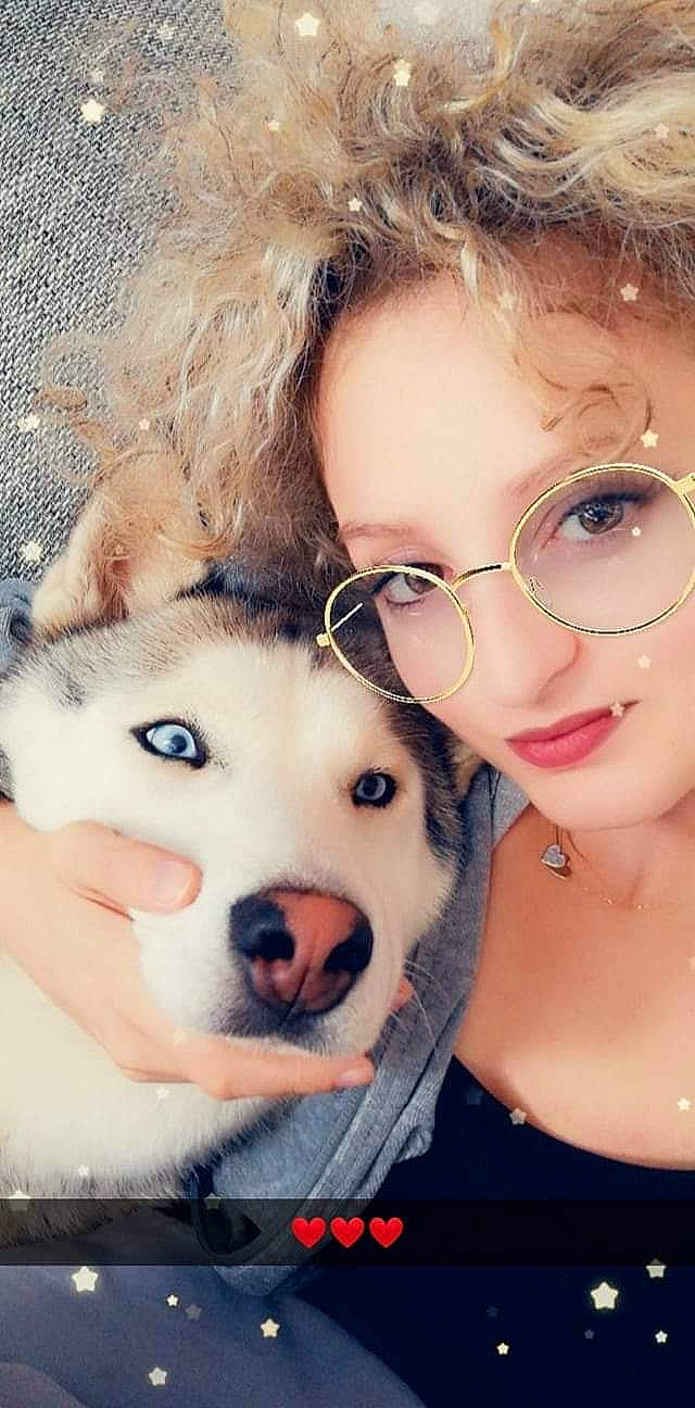 Akela a rejoint le concours — aidez-le/la à gagner de superbes lots ! alaskan_malamute, canidae, carnivore, cheek, companion_dog, dog, dog_breed, eye, eyebrow, eyewear, glasses, lip, nose, photography, puppy_love, rare_breed_dog, selfie, siberian_husky, skin, sled_dog