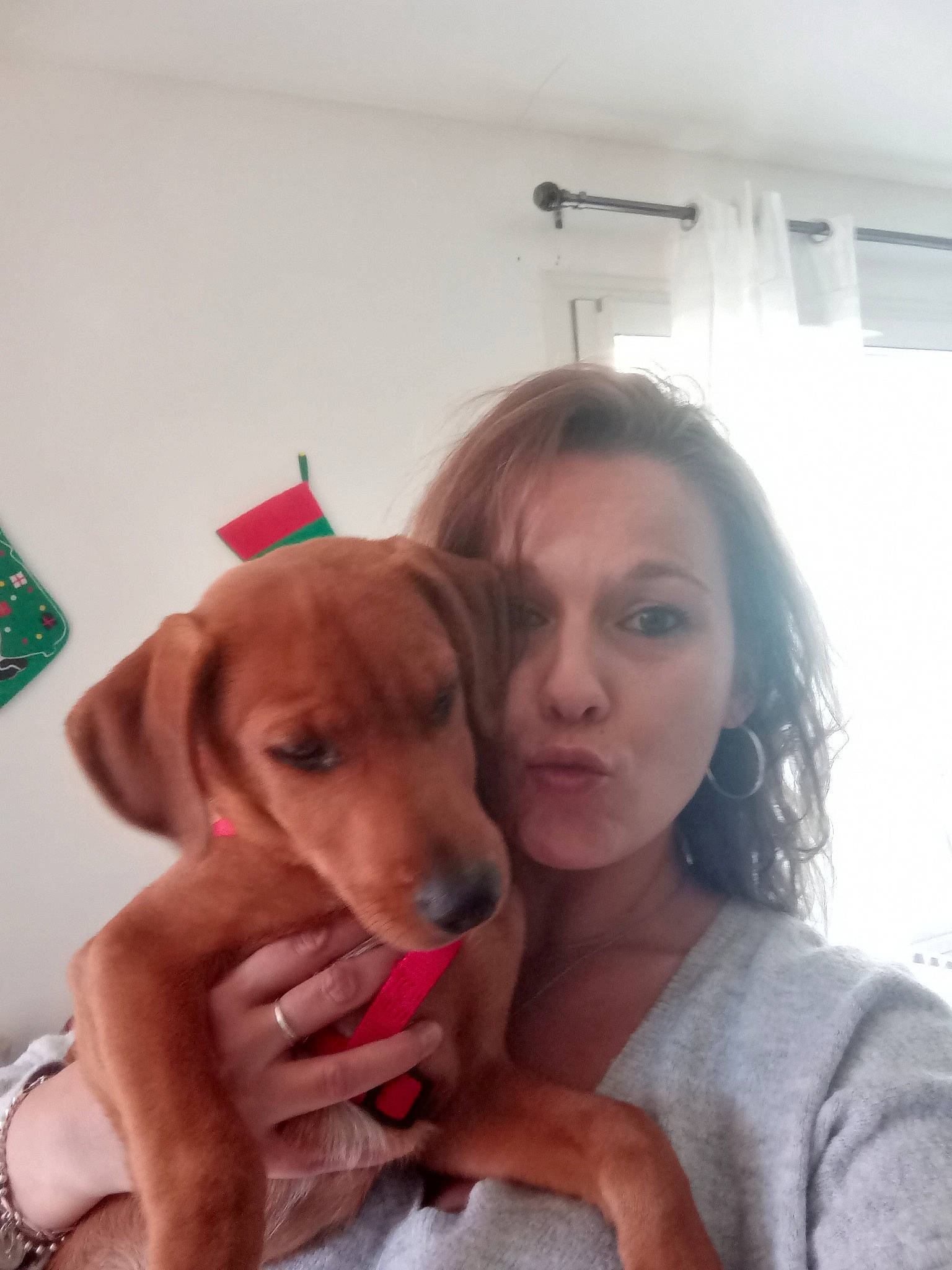 Jagger a rejoint le concours — aidez-le/la à gagner de superbes lots ! canidae, carnivore, ceiling_fan, comfort, companion_dog, dog, dog_breed, ear, fawn, fun, gesture, happy, nail, paw, puppy_love, retriever, selfie, sporting_group, vacation, weimaraner