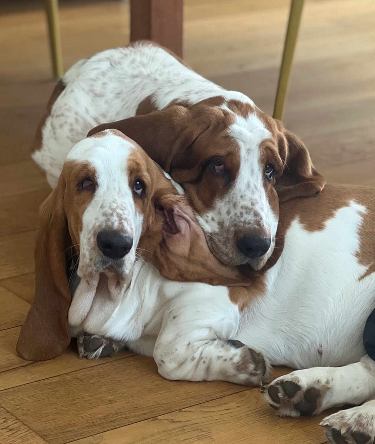 Anatole Et Valentine