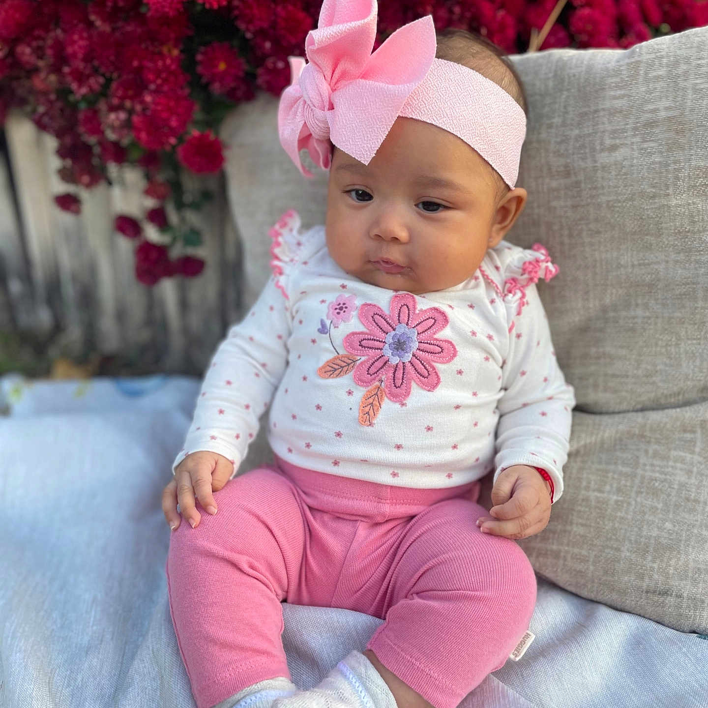 Neylan is registered to the contest to win money with this photo: baby, baby_girl, background, child, cushion, cute, fabric, flower, flowers, hand, headband, infant, nature, outdoor, pink_clothing, portrait, red_flowers, sitting, soft_texture, white_socks