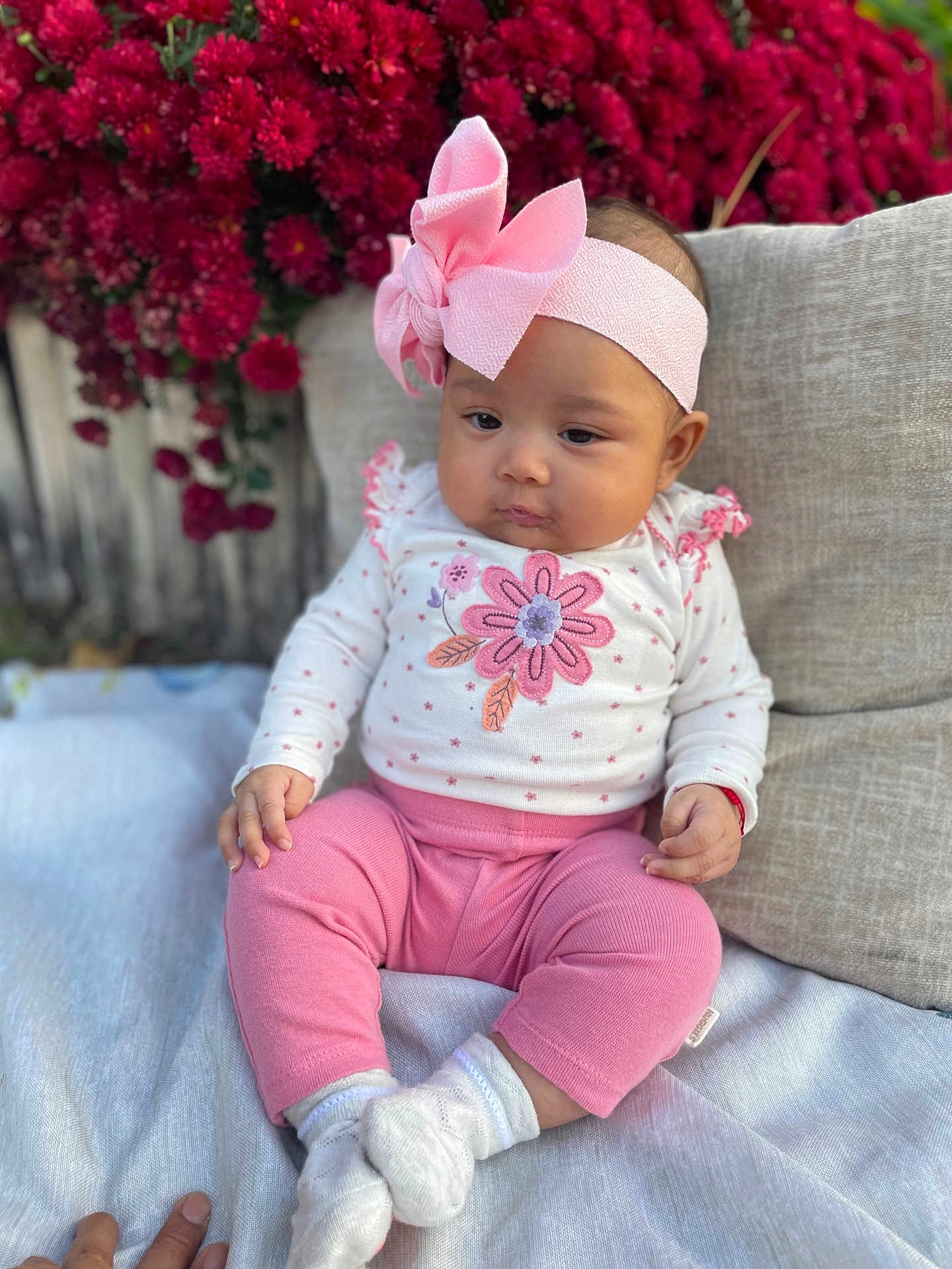 Neylan is registered to the contest to win money with this photo: baby, child, pink_clothing, headband, flower, flowers, red_flowers, cushion, sitting, white_socks, outdoor, portrait, cute, infant, soft_texture, hand, baby_girl, fabric, background, nature