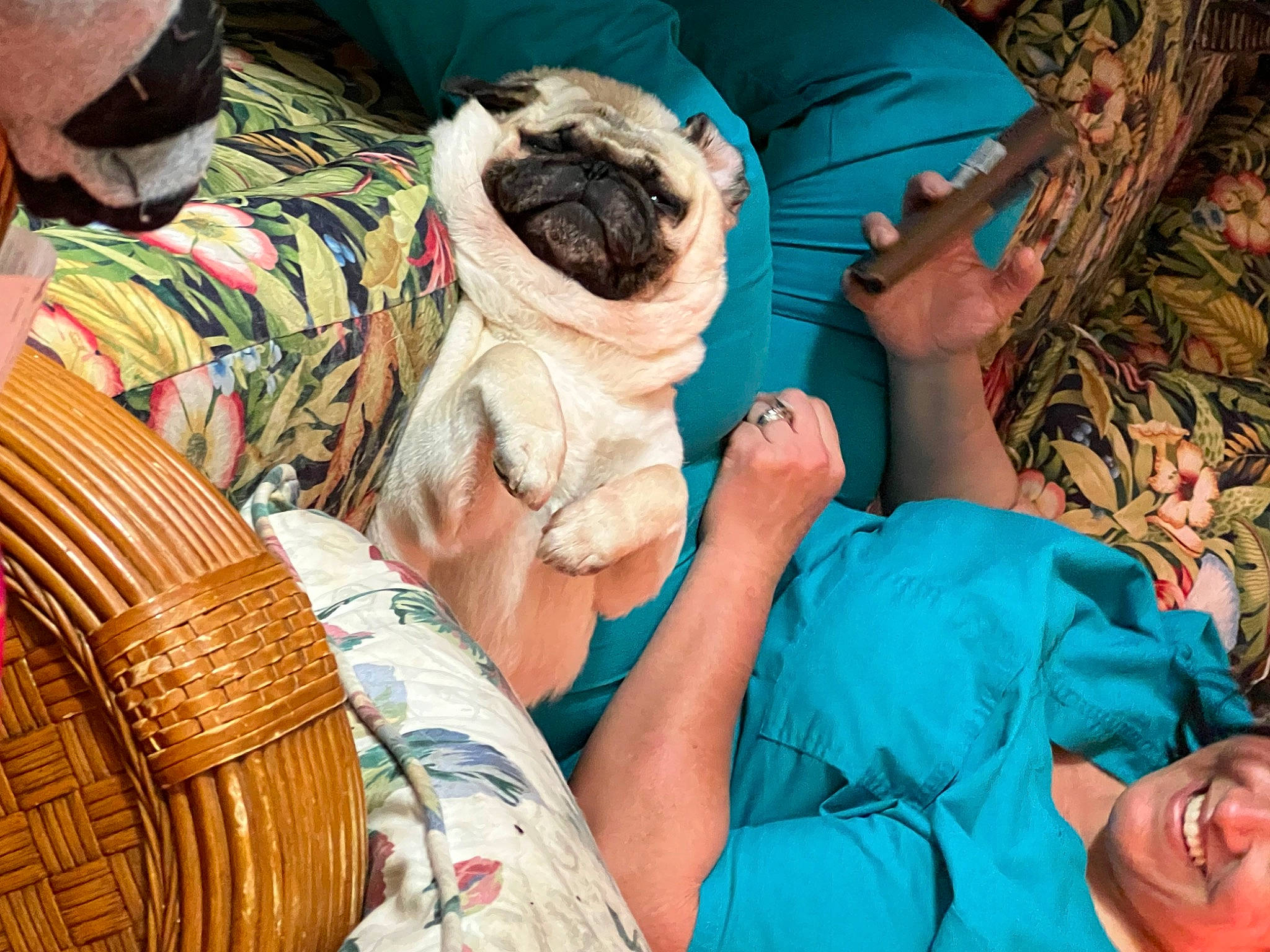 Cayde is registered to the contest to win money with this photo: blue, carnivore, child, companion_dog, dog, dog_breed, eyewear, grass, hand, landscape, leisure, organ, pattern, people, pug, sitting, sunglasses, textile, tree, wrinkle