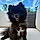 Winnie