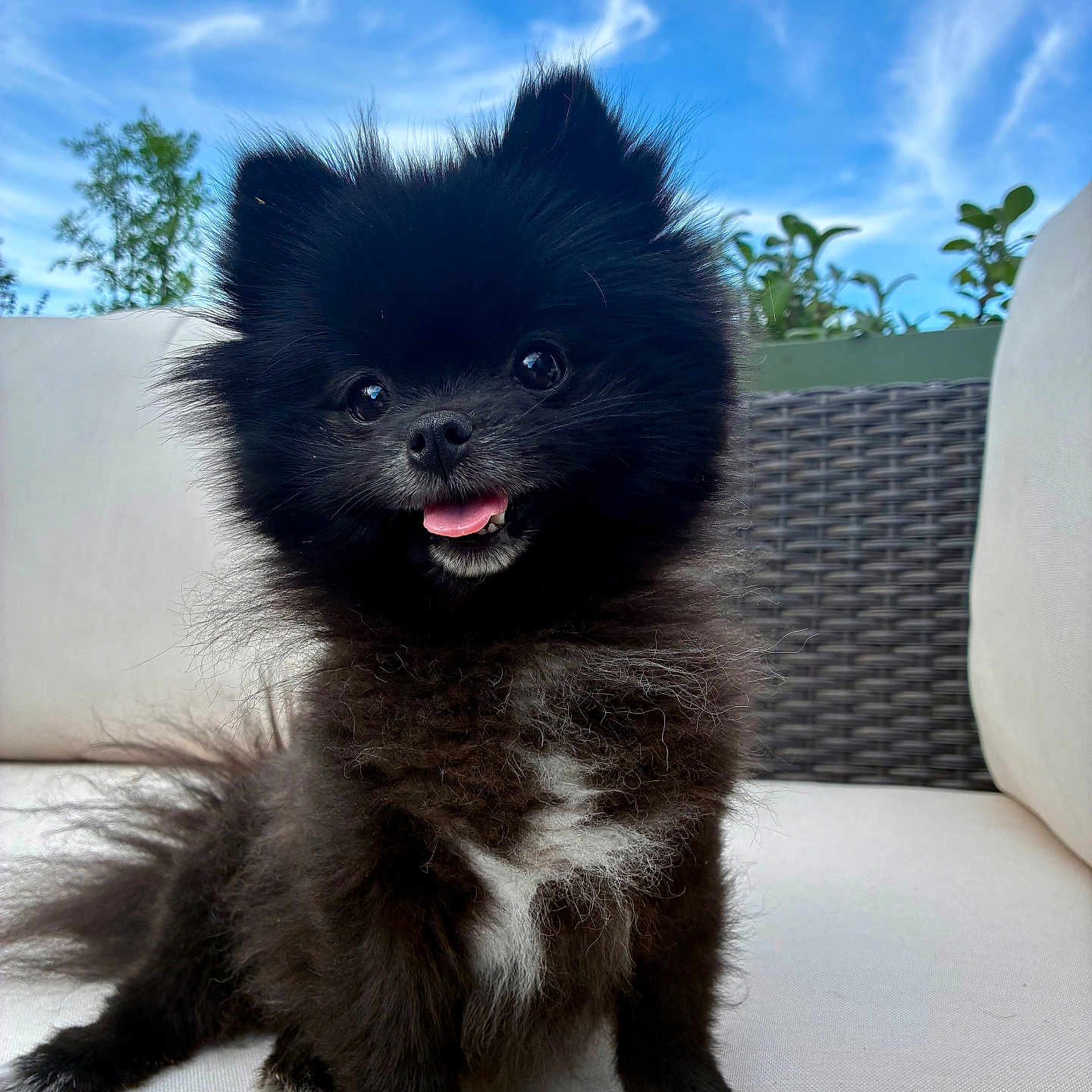 Winnie