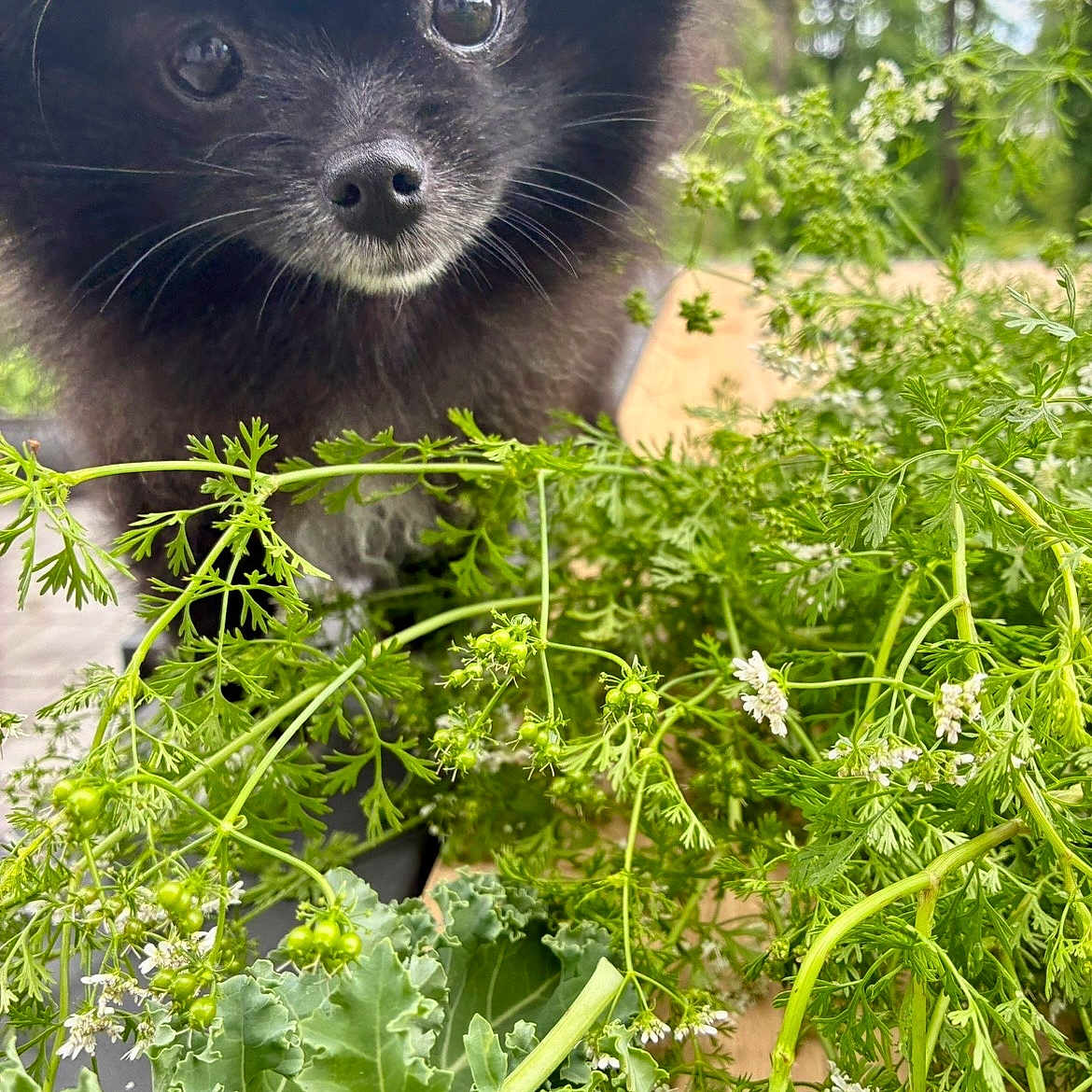 Winnie