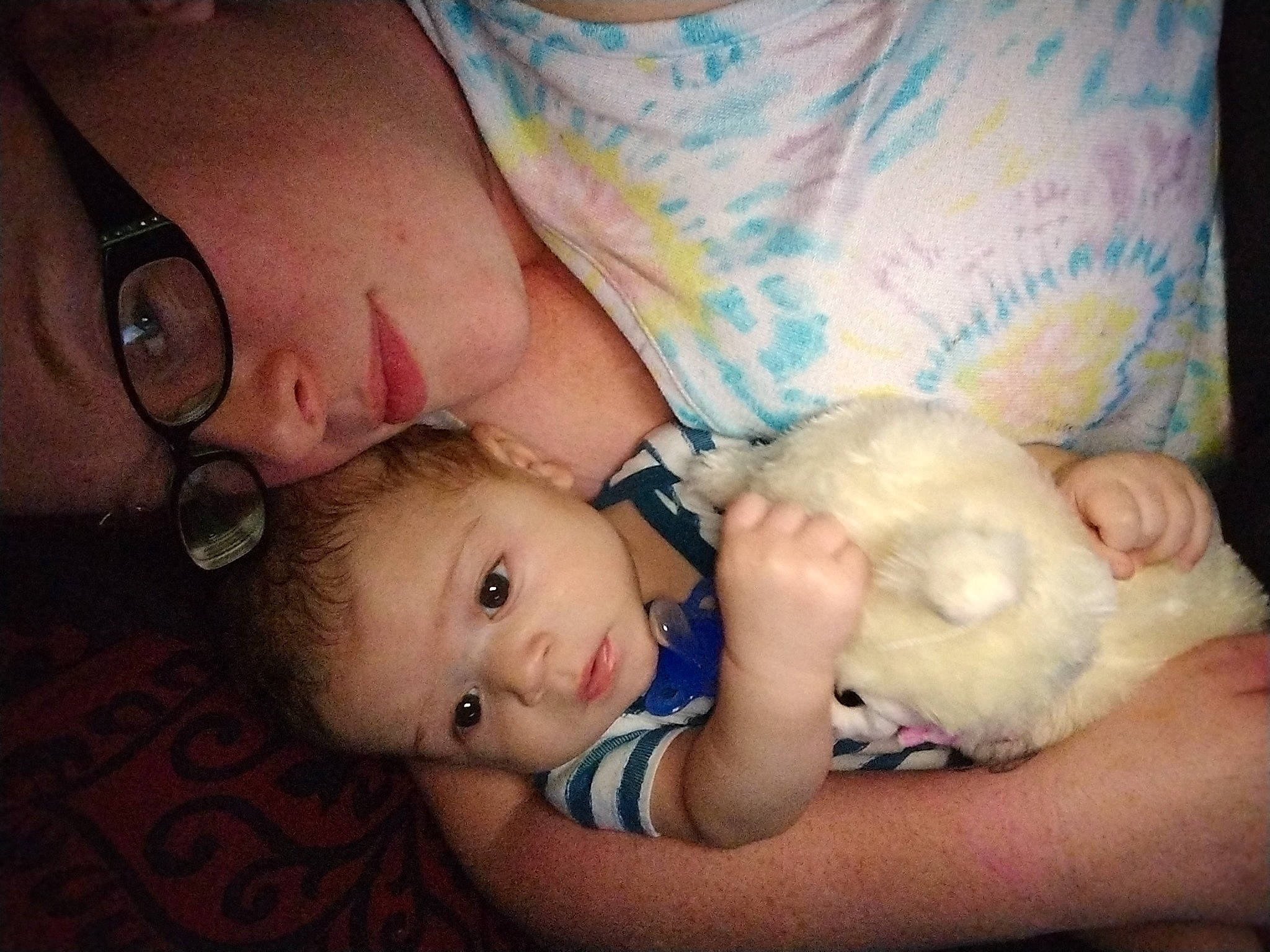 Carlos Jr is registered to the contest to win money with this photo: baby, cheek, child, comfort, companion_dog, ear, eyelash, eyewear, finger, fur, hand, happy, interaction, iris, mouth, nose, person, skin, toddler, toy