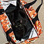 cat, black_cat, tote_bag, orange, llama_pattern, carpet, indoor, pet, animal, curious, wide_eyes, sitting, cozy, corner, fabric, handle, domestic, cute, feline, closeup
