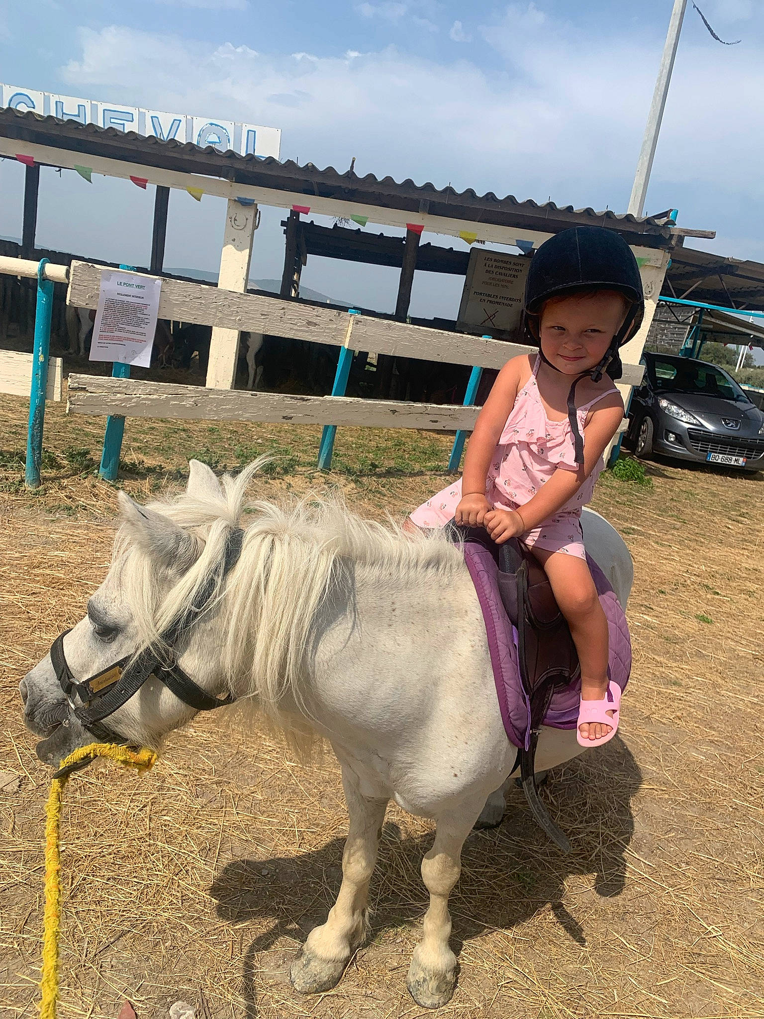 Thea participe au concours pour gagner de l'argent avec cette photo : bovine, bridle, cloud, fence, hat, headwear, horse_supplies, horse_tack, joy, landscape, livestock, mane, mare, pack_animal, person, plant, ranch, recreation, rein, sky