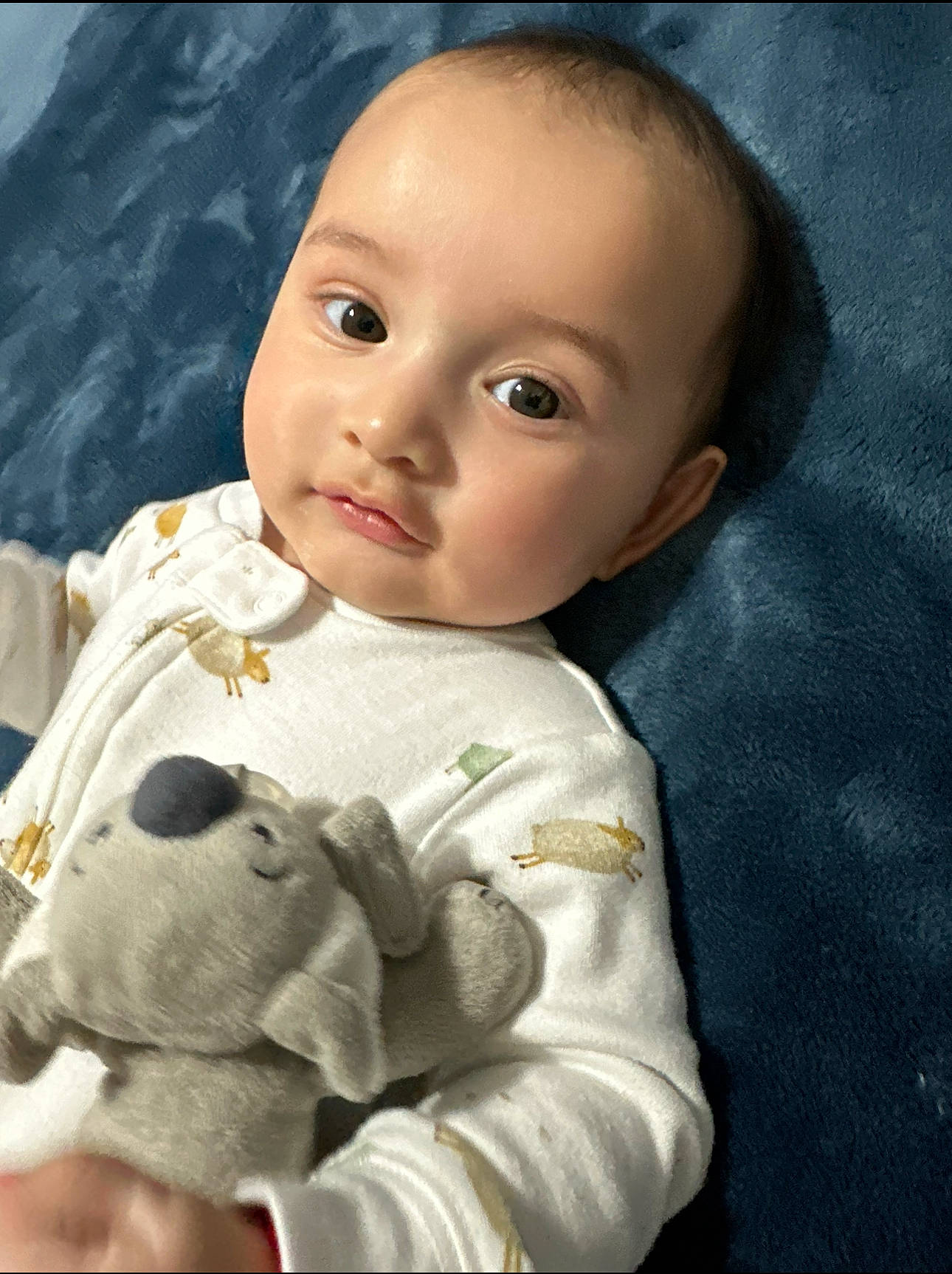 Andres is registered to the contest to win money with this photo: art, baby, baby_toddler_clothing, cheek, child, chin, doll, eyelash, fur, iris, linens, lip, nose, person, portrait_photography, sitting, skin, sleeve, toddler, toy