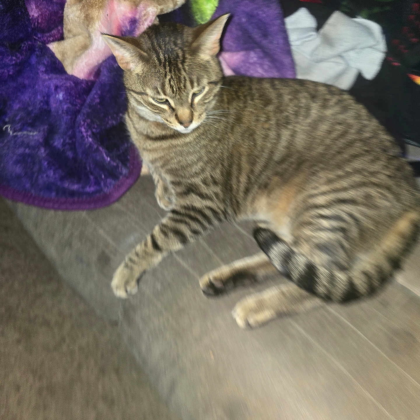 Kiluha