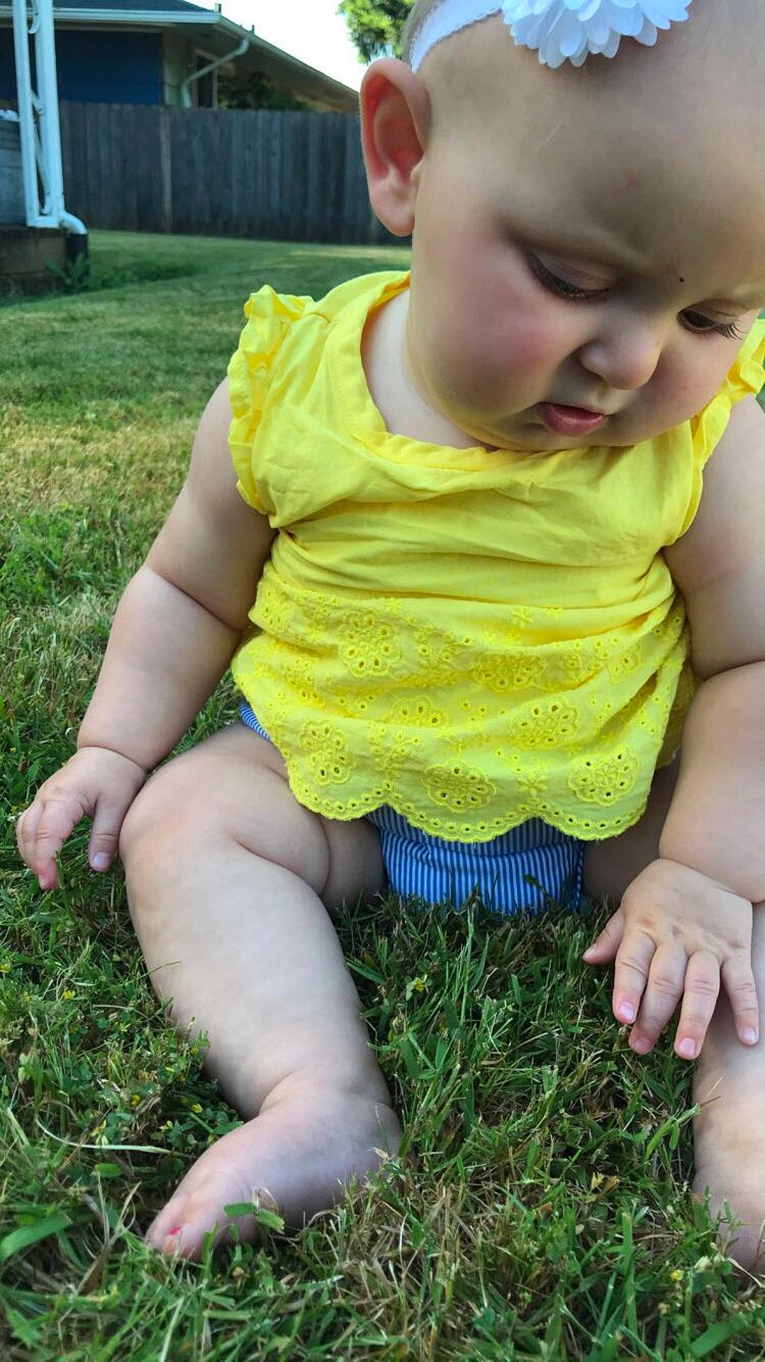 Sidney joined the competition — help win amazing prizes! arm, child, eye, finger, fun, grass, green, hand, infant, lawn, leg, meadow, mouth, person, plant, play, sitting, skin, summer, toddler