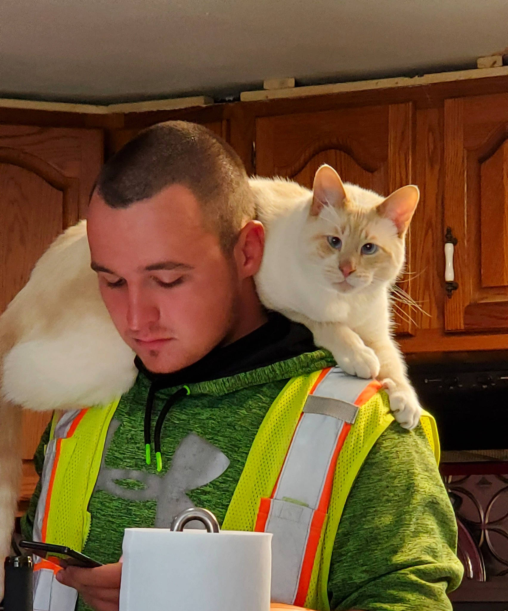 Winston Churchill joined the competition — help win amazing prizes! carnivore, cat, crew_cut, domestic_short_haired_cat, door, drinkware, ear, eyewear, fawn, felidae, fur, lap, mug, paw, personal_protective_equipment, sitting, small_to_medium_sized_cats, tail, whiskers, white