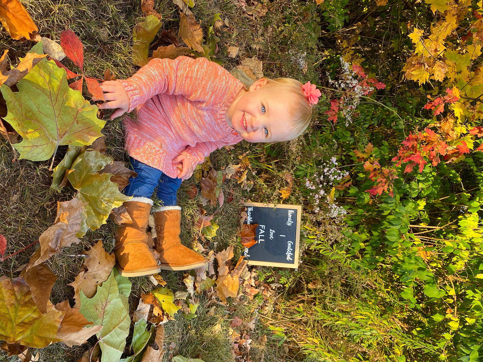 Airabella is registered to the contest to win money with this photo: autumn, child, deciduous, joy, leaf, person, plant, tree