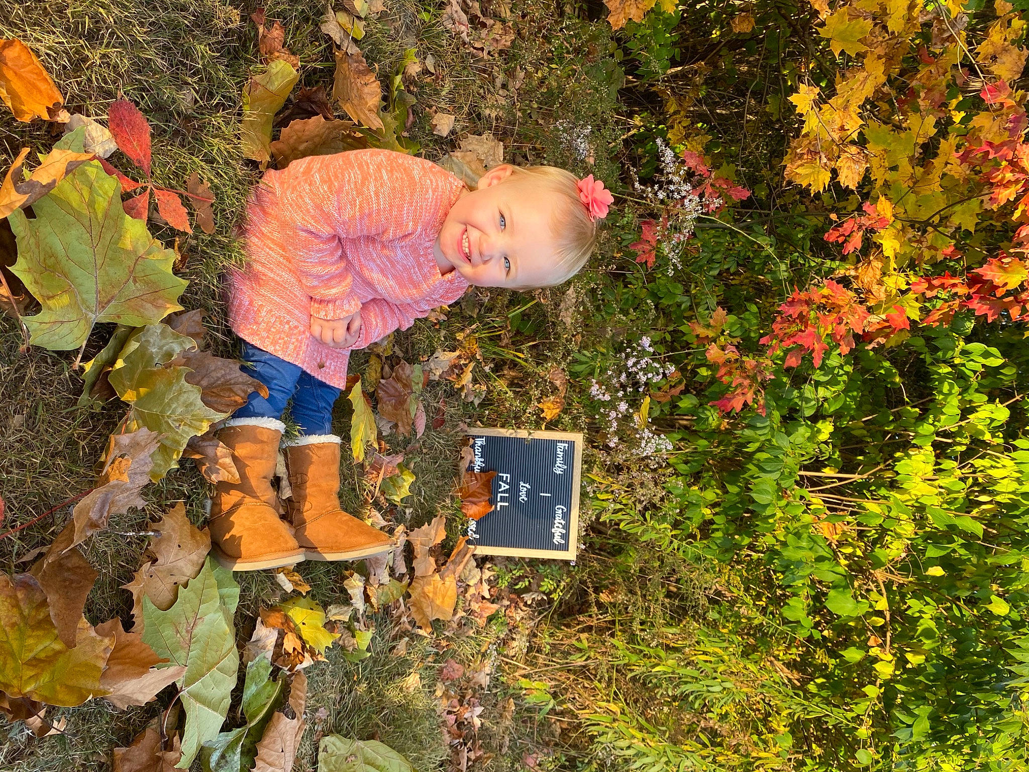 Airabella is registered to the contest to win money with this photo: autumn, deciduous, joy, leaf, person, plant, tree