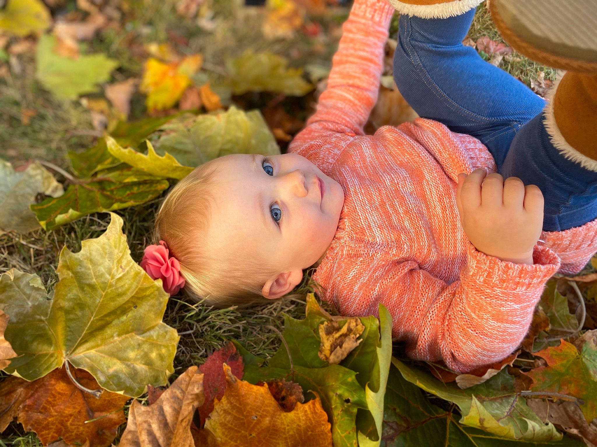 Airabella is registered to the contest to win money with this photo: autumn, baby, child, leaf, person, plant, toddler, tree